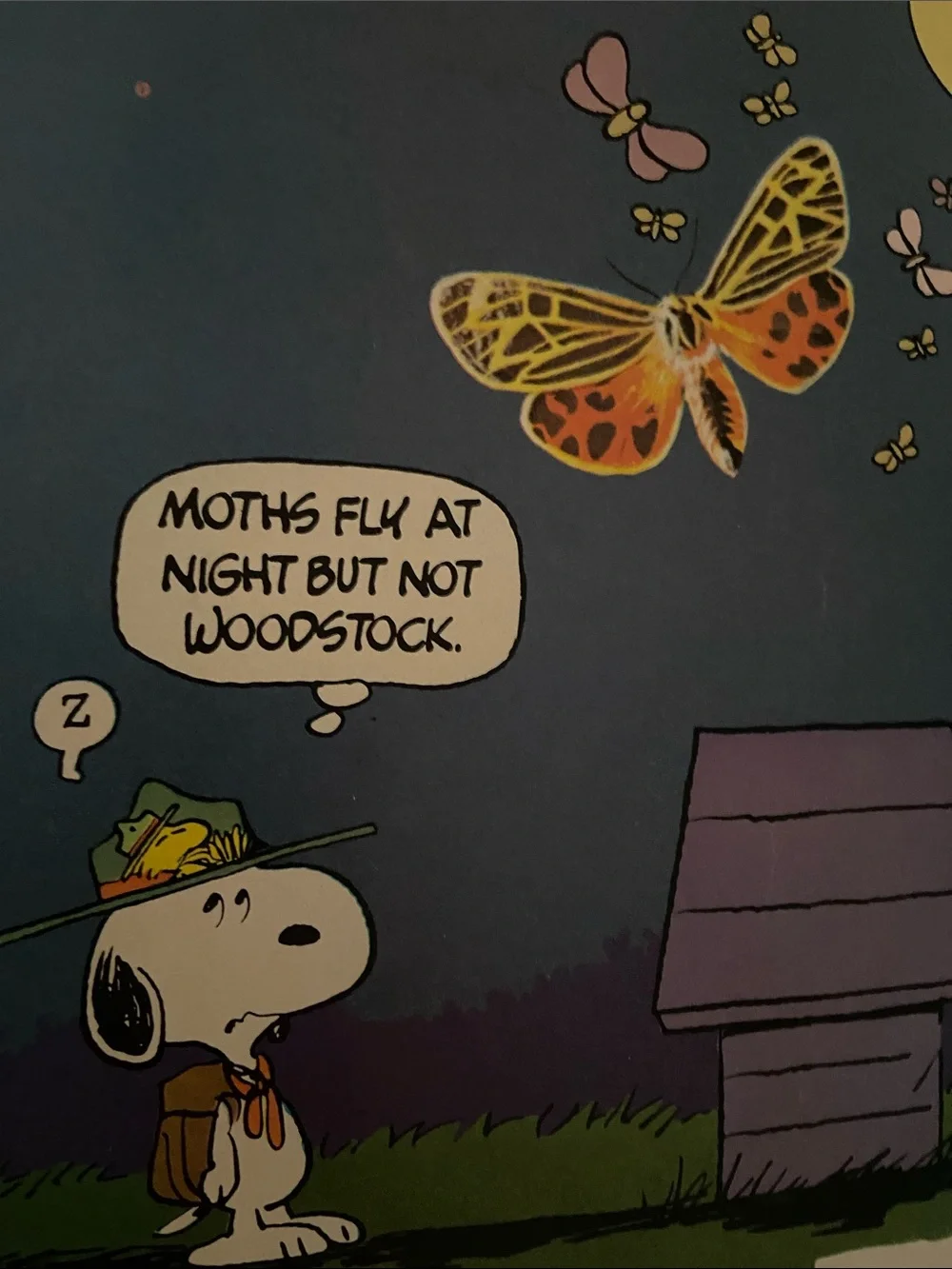 Vintage 70s 1970s Snoopy Peanuts Charlie Brown's Super Book Questions Answers hc